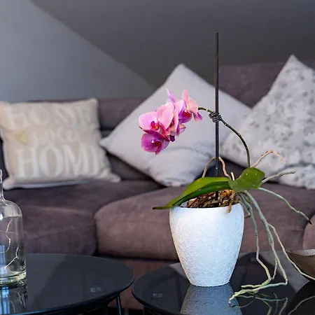 Apartment Mladenka 2 *